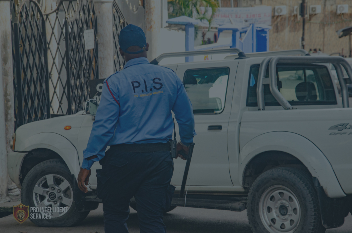 Bienvenue - Pro Intelligent Services - PIS Sarl